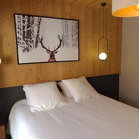 6 A 8 Voyageurs * Huez